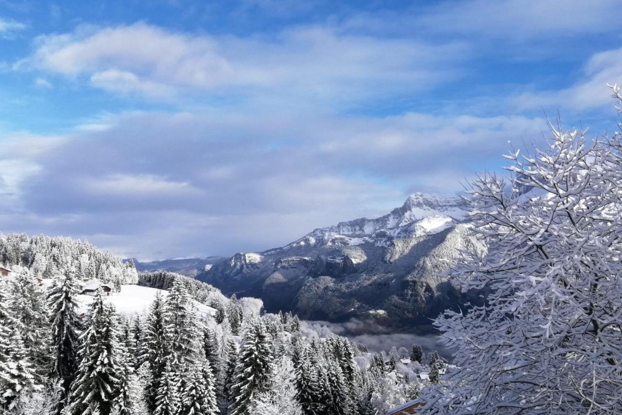 Studio Classified All Comfort View On Aravis Combloux Exteriér fotografie